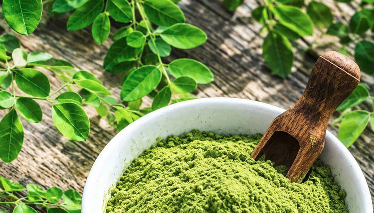 hb02_hero 03 moringa v2